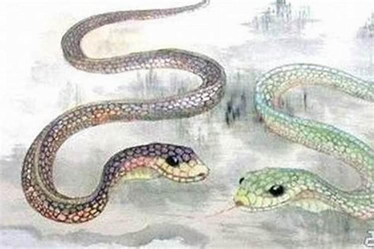 腊月初八属蛇在一九年运程如何