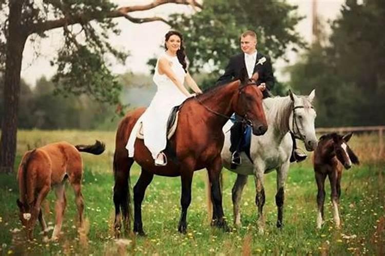 马和狗相配婚姻2021如何
