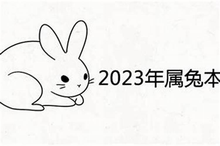 87年的兔子2023年的运势
