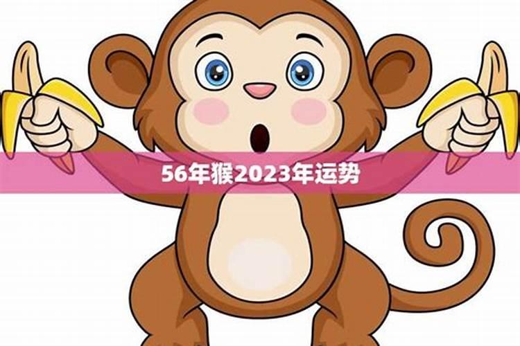 猴子2023年的运势如何