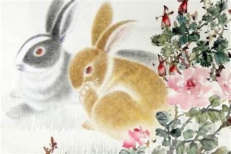 1951年属兔人的寿命