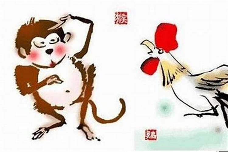 属猴和属鼠合婚吗