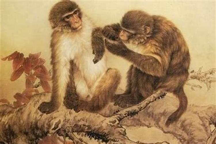 1968年属猴人一生运势运程