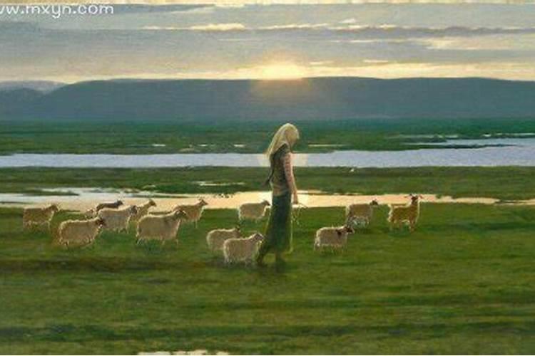 梦见放羊是什么意思有什么预兆