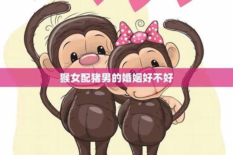 猴女猪男婚姻与家庭相配吗