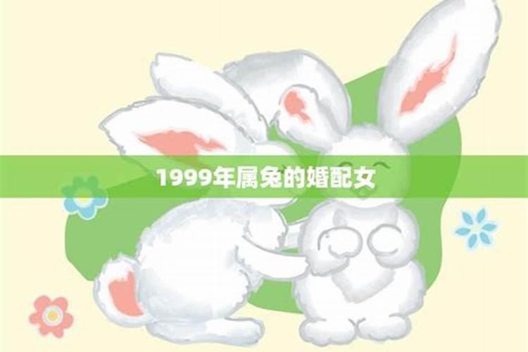 1999年属兔男和属马女合适吗