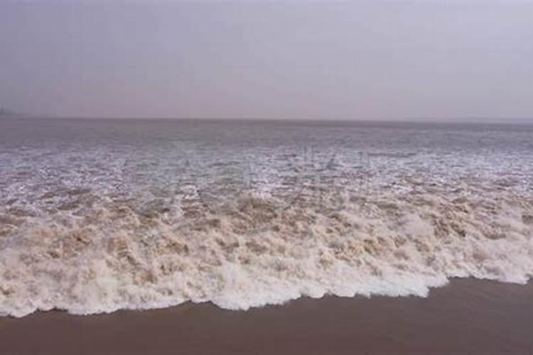 杭州湾八月十五是几点涨潮