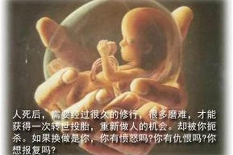 堕胎婴灵中阴身