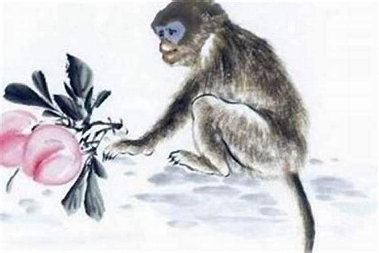 猴跟猴婚姻怎么样