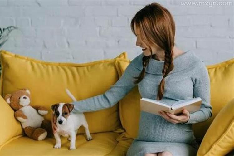 怀孕期间梦到狗代表什么预兆