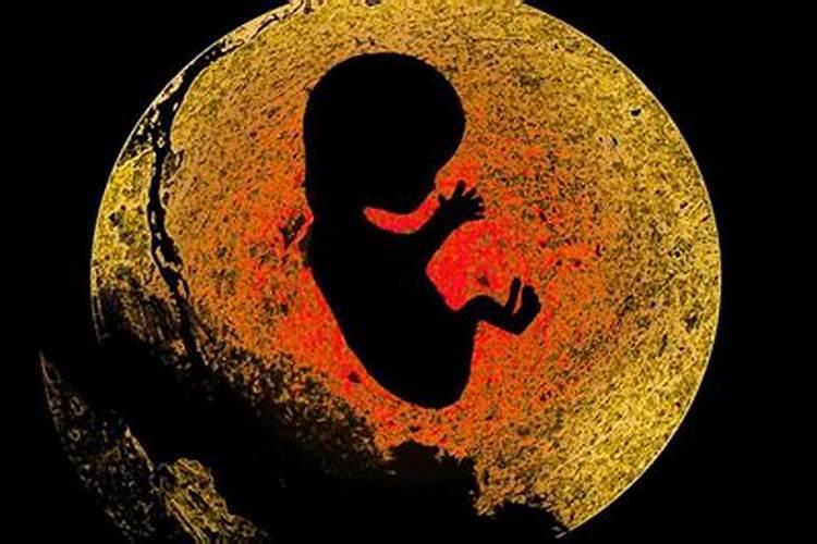 堕胎后婴儿没有死亡