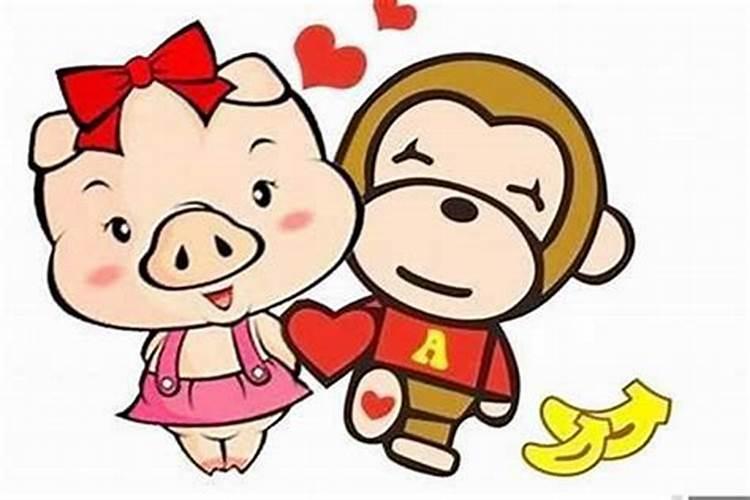 猪与猴属相婚配好吗？