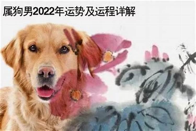 2024年正月属狗的运势怎么样？