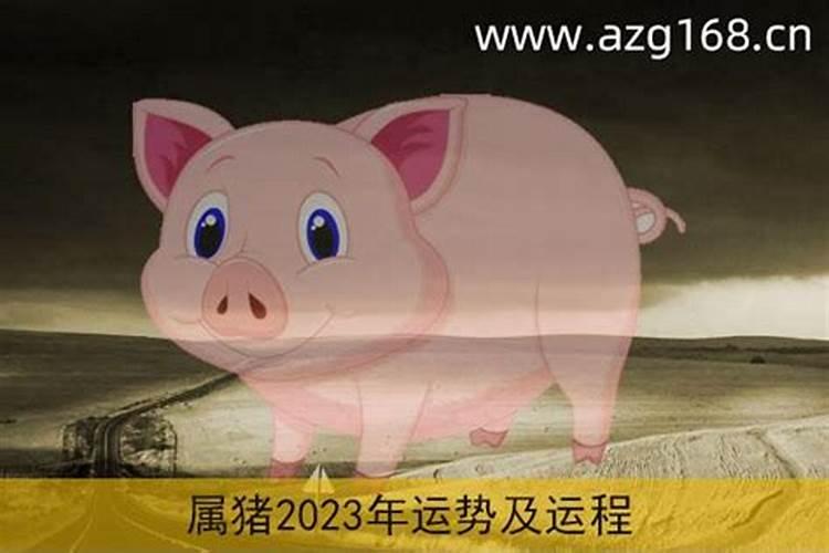 属猪运势2023年运势如何