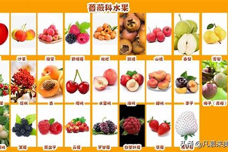拜太岁四种水果是什么