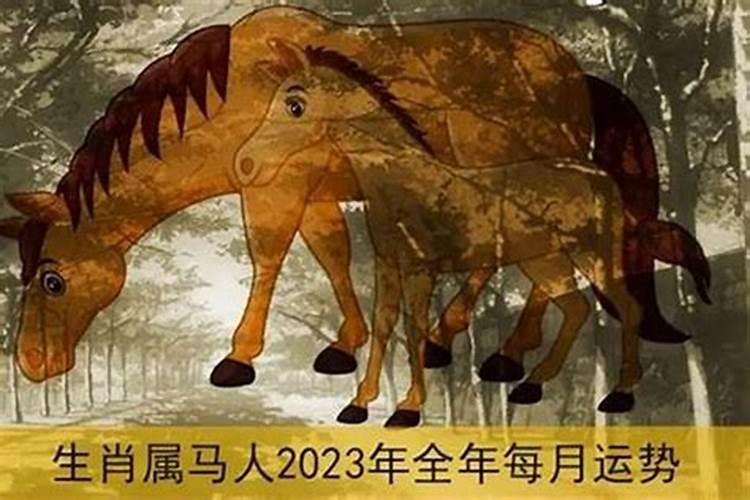 2023年属马的运程怎样