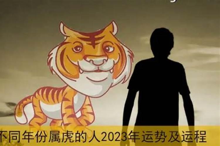 虎在2023以后十年大运
