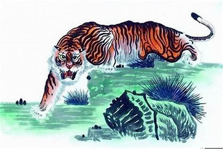 2022是属虎的本命年吗?