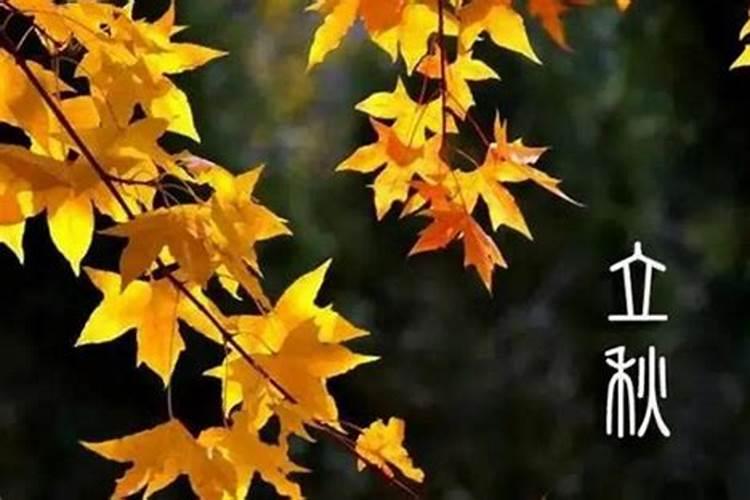 日历说的立秋是什么意思
