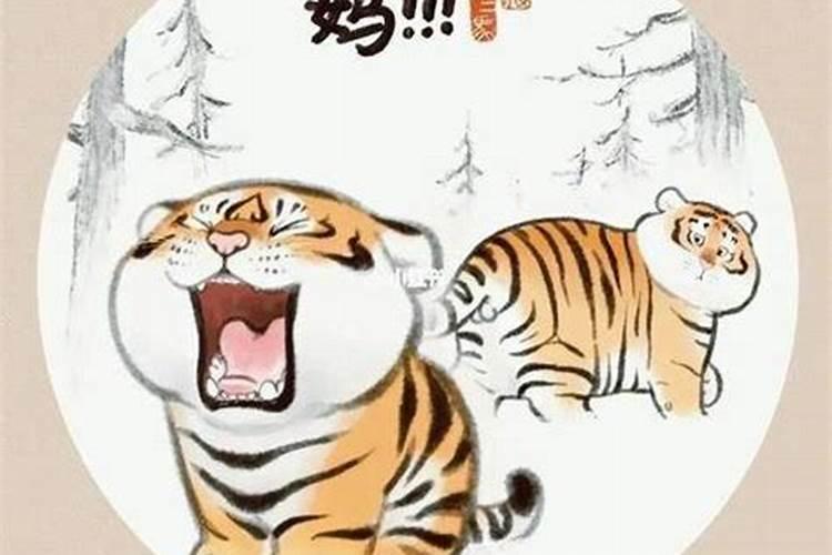 立冬出生的老虎