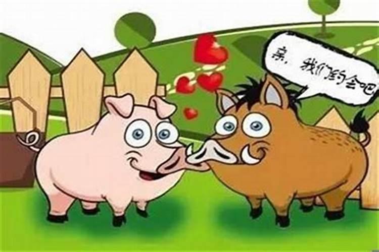 婚姻算命配对猪和牛怎样