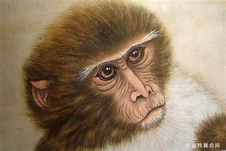 1980属猴三月份出生