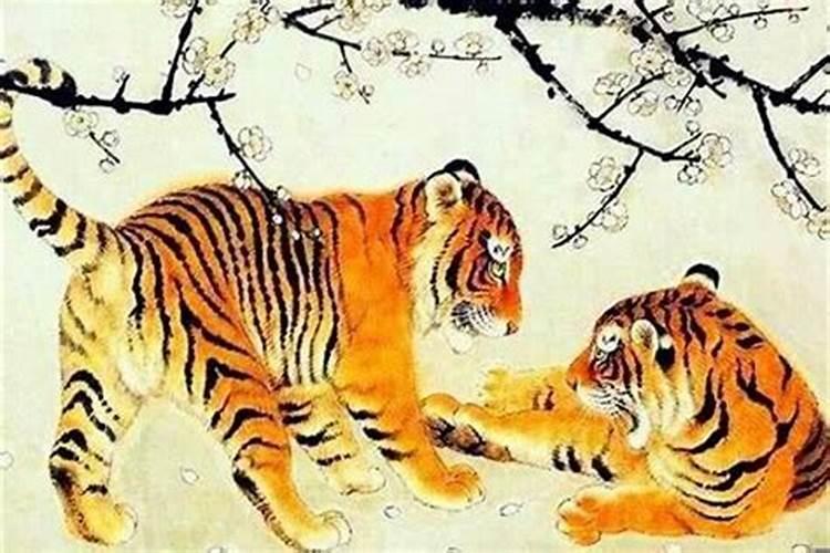 虎和哪些属相婚配最好