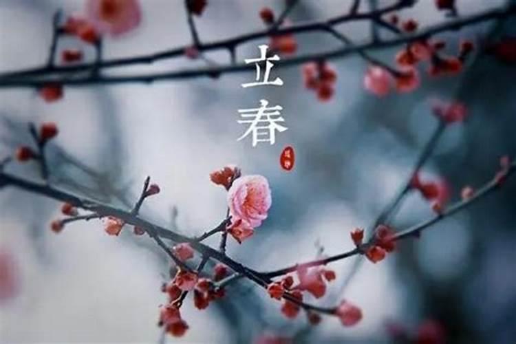 春节哪天是立春的日子