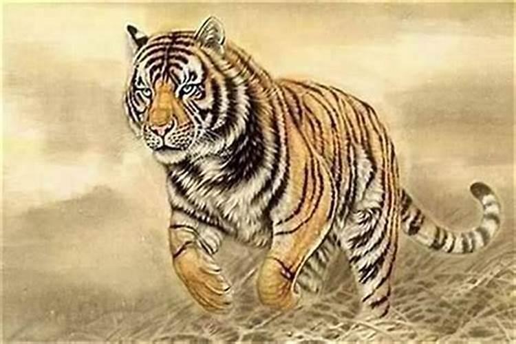 1986年属虎是什么颜色