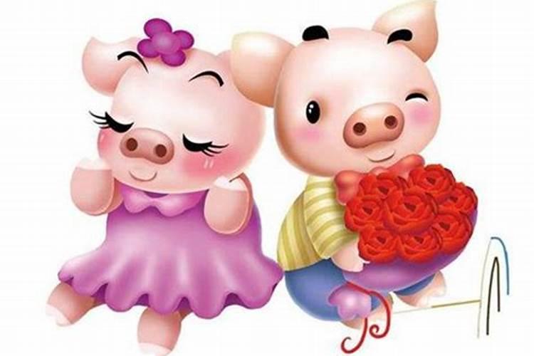 属猪可不可以和属猪的结婚呢