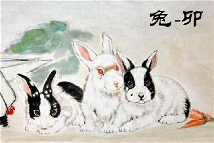 1976年1月出生肖兔一生运程