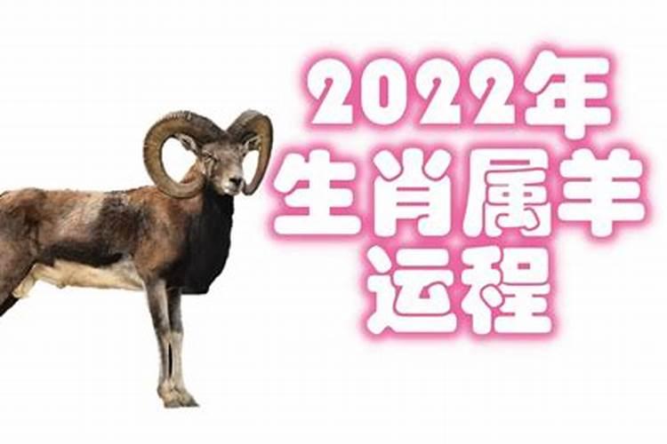 羊2022年运势