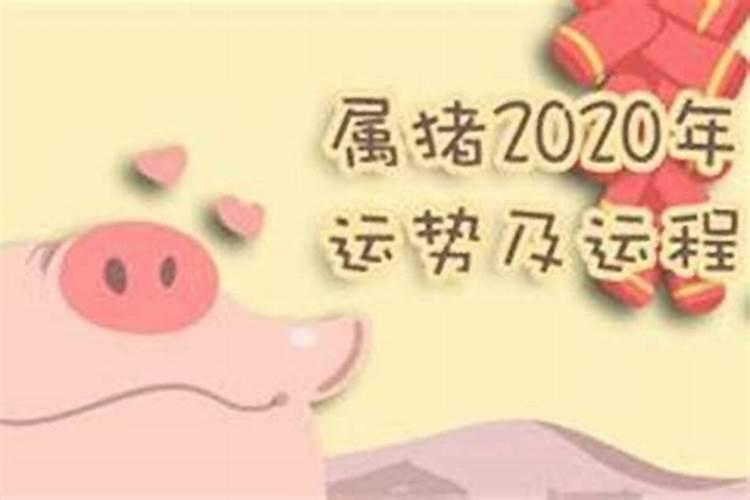 属猪2023年运势及运程2022年属猪人的全年每月运势
