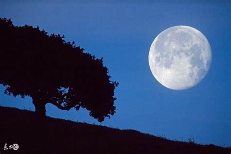 梦见大月亮很低挂空中
