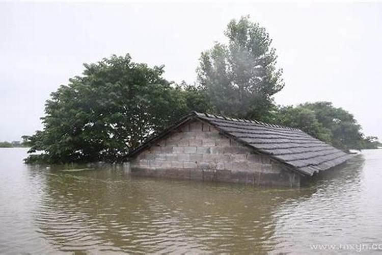 梦见房子被洪水淹了
