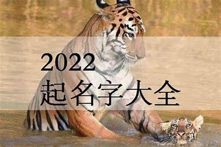 2023年属虎男孩取名字