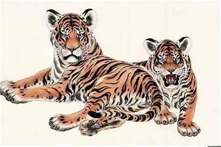 两个属虎的可以在本命年结婚吗