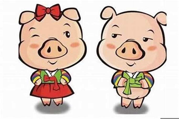猪和猪的婚配属相好吗