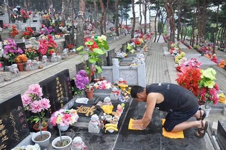 中元节上坟用什么花