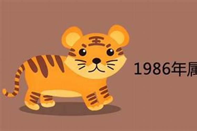 1986年属虎的什么命什么颜色