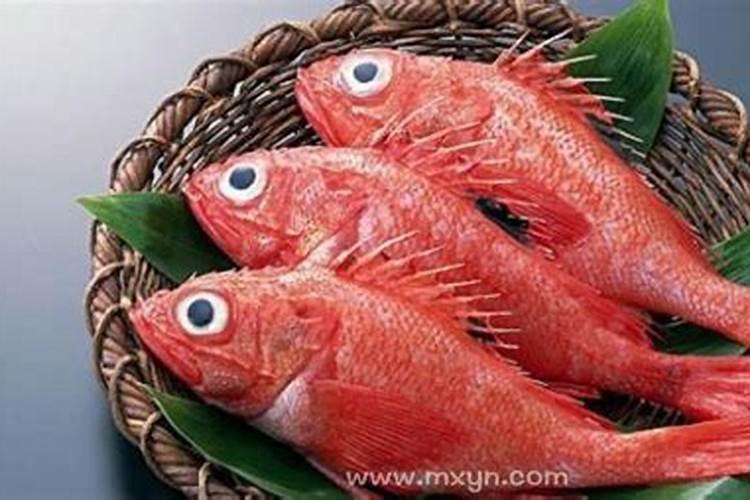 梦见红鱼是什么兆头