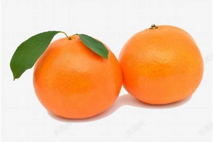 梦见熬了两个大橘子