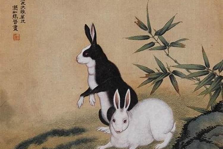 兔马属相婚配能长久吗