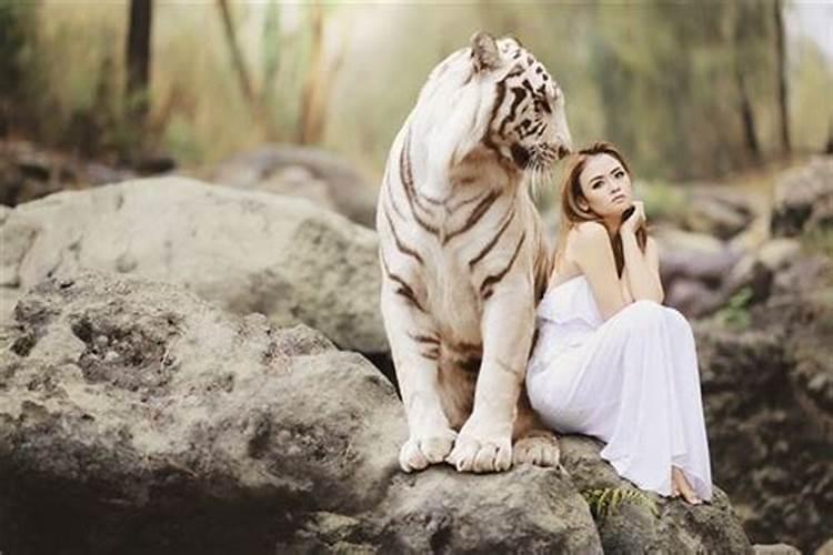 女人梦见老虎意味着什么