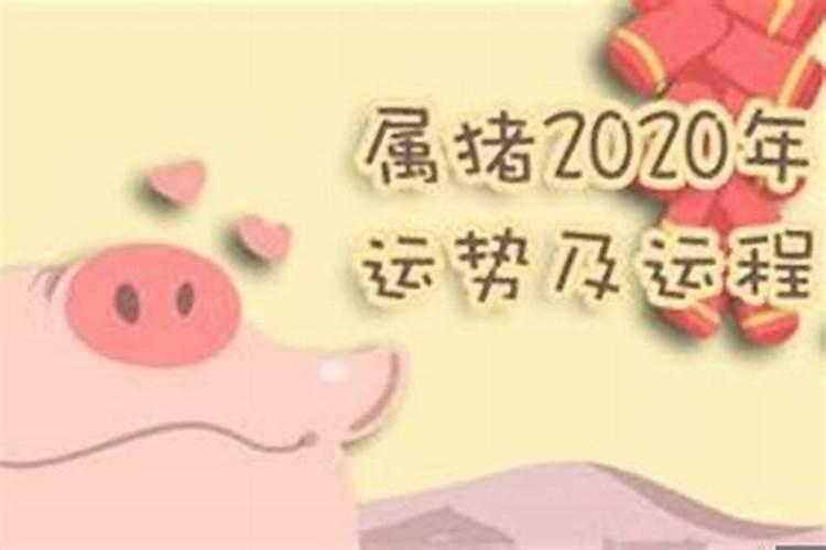 猪年出生在2023年的运程怎么样