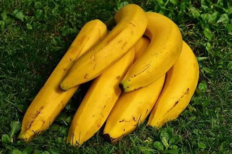 梦到摘香蕉吃了是不是胎梦