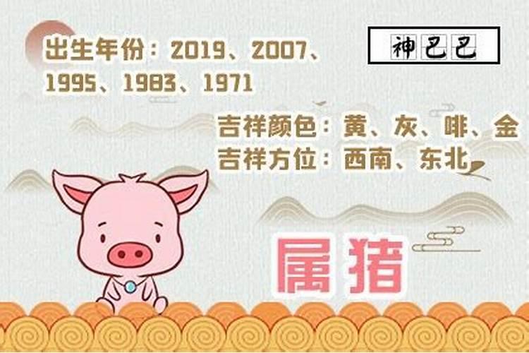 1996年属猪是什么命