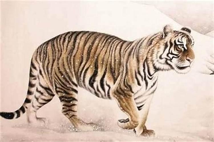1962年出生属虎的是什么命