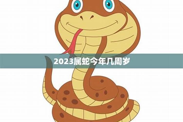 今年属蛇的多少岁