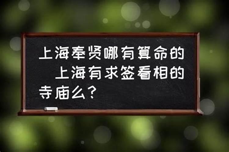 上海哪里买到八字算命机器